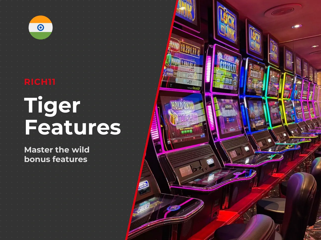 Wild, Multiplier and Bonus-Driven Wins. The